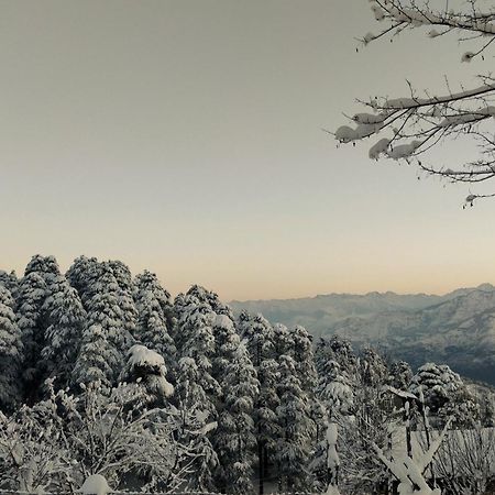 Black Bear Cottage Khajjiar Ngoại thất bức ảnh