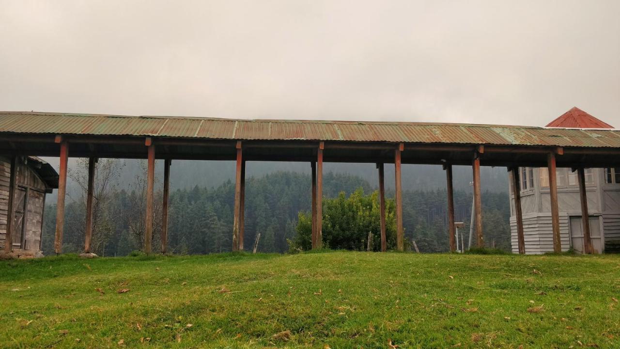 Black Bear Cottage Khajjiar Ngoại thất bức ảnh
