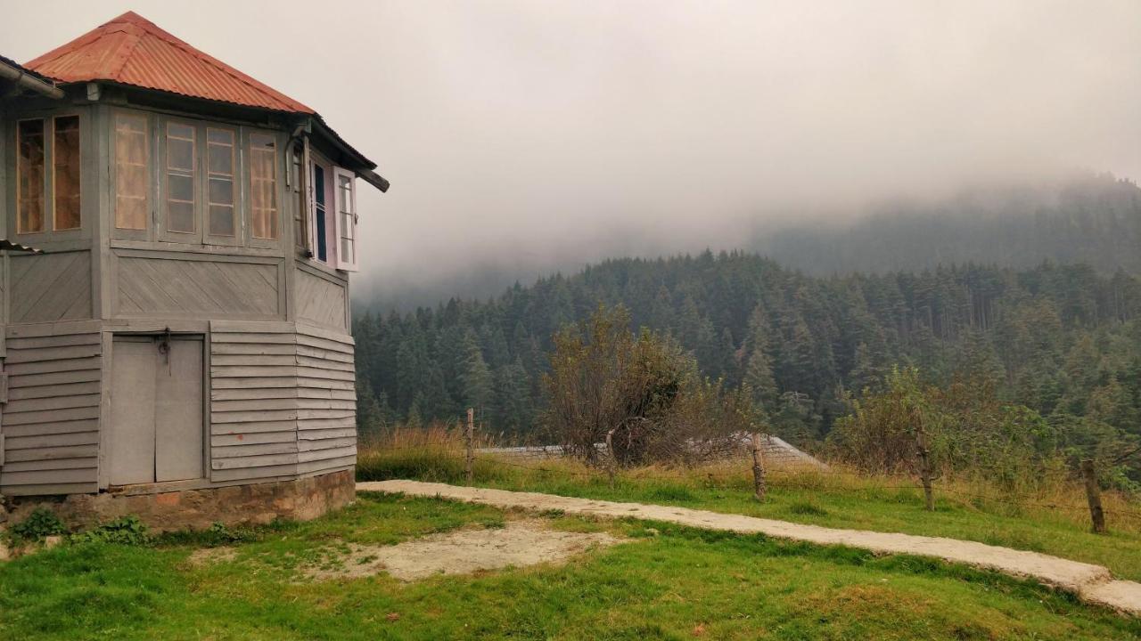 Black Bear Cottage Khajjiar Ngoại thất bức ảnh
