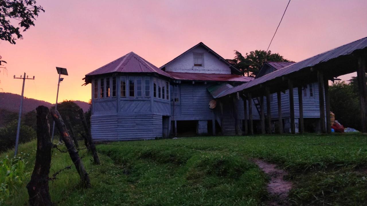 Black Bear Cottage Khajjiar Ngoại thất bức ảnh