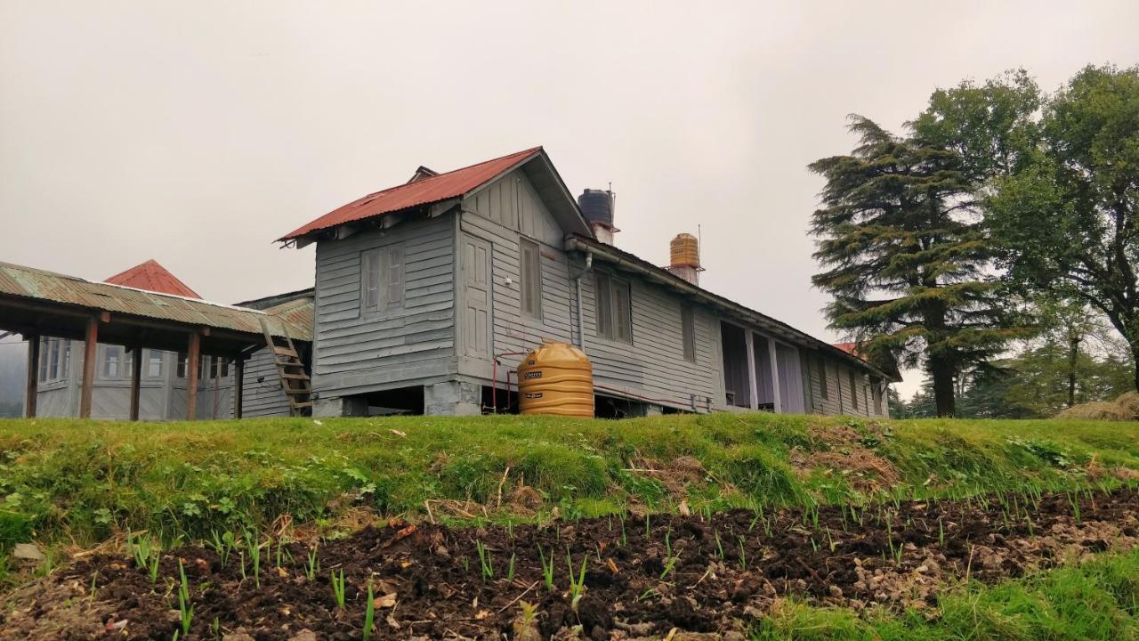 Black Bear Cottage Khajjiar Ngoại thất bức ảnh