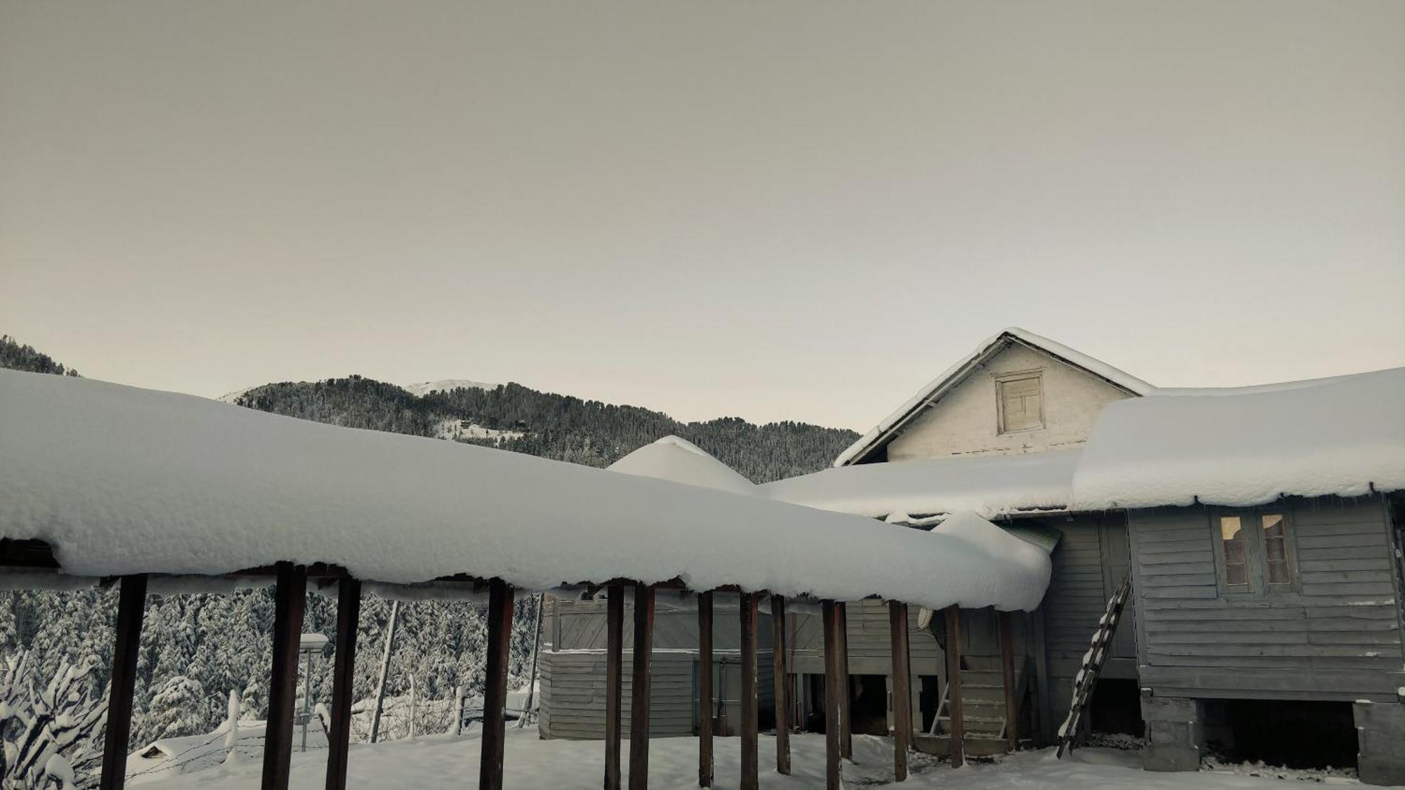 Black Bear Cottage Khajjiar Ngoại thất bức ảnh