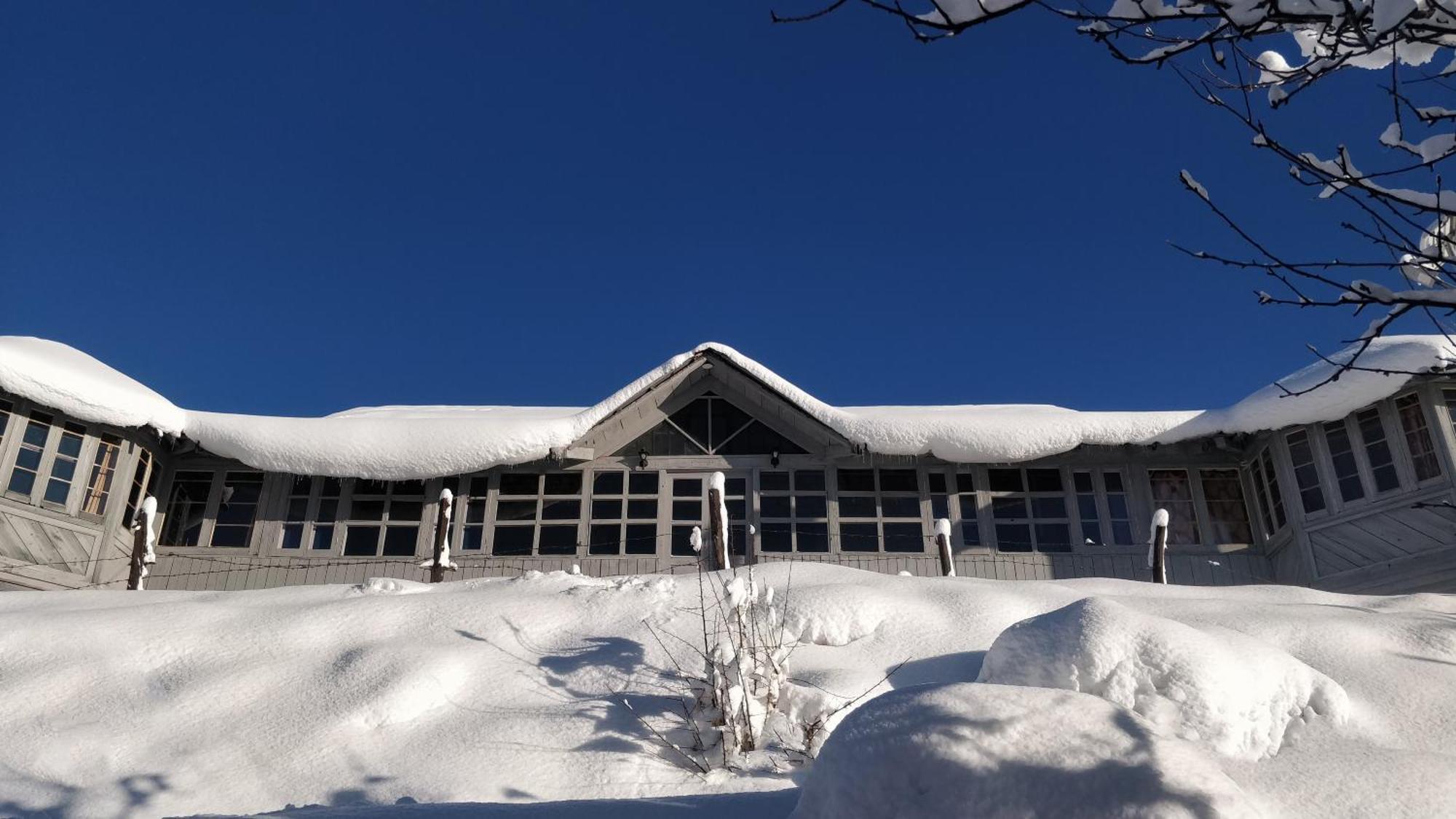 Black Bear Cottage Khajjiar Ngoại thất bức ảnh