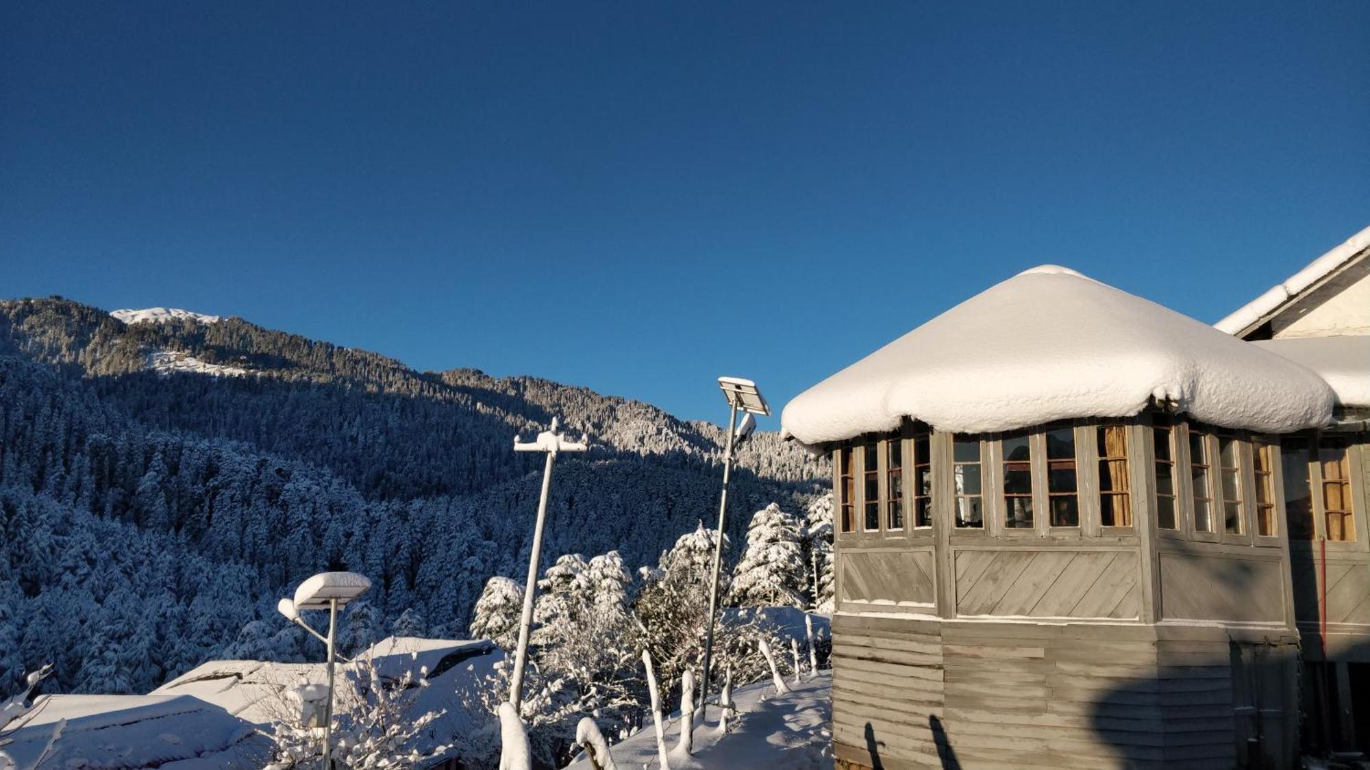 Black Bear Cottage Khajjiar Ngoại thất bức ảnh