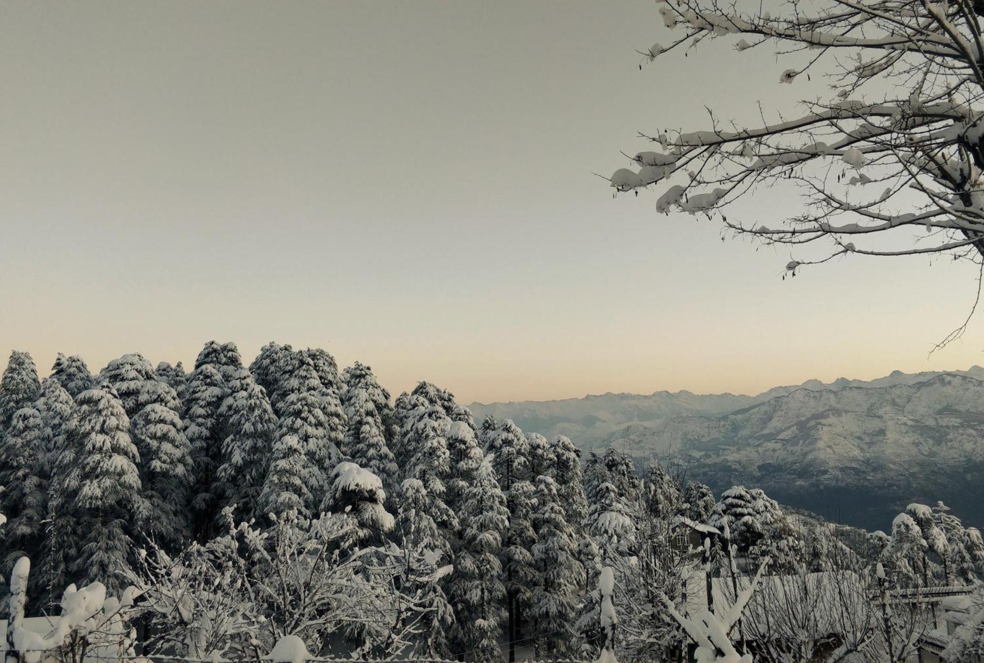 Black Bear Cottage Khajjiar Ngoại thất bức ảnh